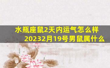 水瓶座鼠2天内运气怎么样 20232月19号男鼠属什么